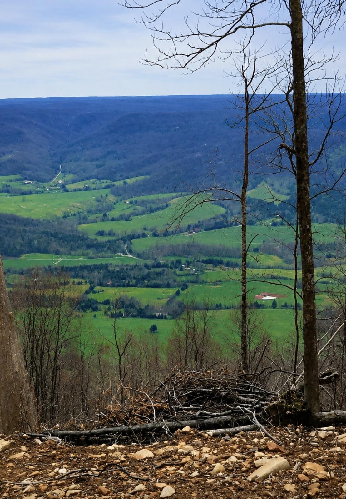 2171 Overlook Trail, Unit LOT 26 Spring City, TN 37381 - Photo 2 of 7 IMG_7233