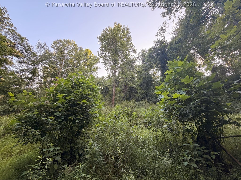 0 Dairy Road Poca, WV 25159 - Photo 13 of 23 Gallery Image 13