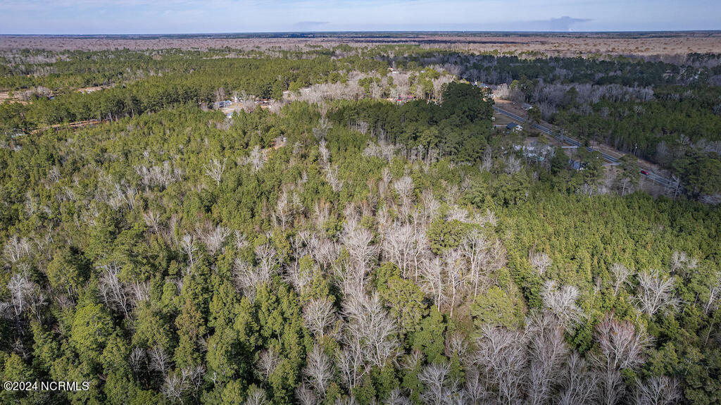 0 Hallsboro Road South Whiteville, NC 28472 - Photo 9 of 27 9