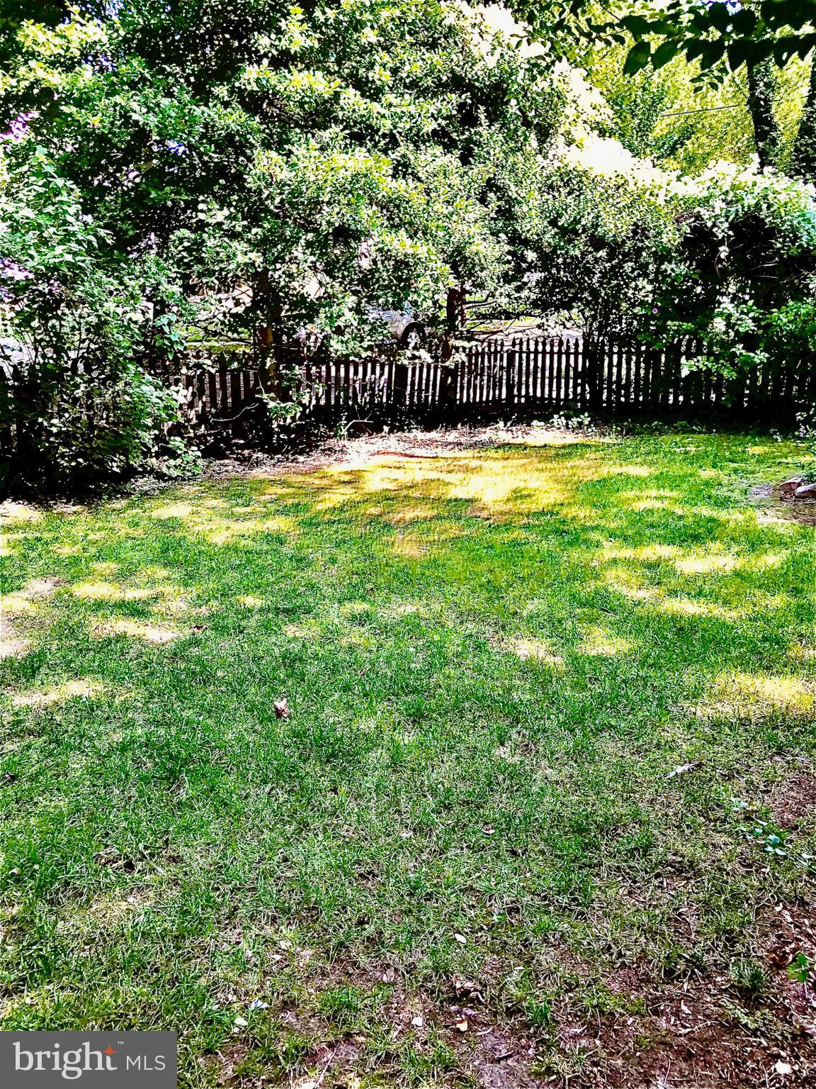 3201 Beverly Road Baltimore, MD 21214 - Photo 17 of 19 Side Yard