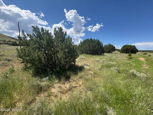 $14,000 | 103 Cr 5202 Concho Az 85924, Concho, AZ 85924