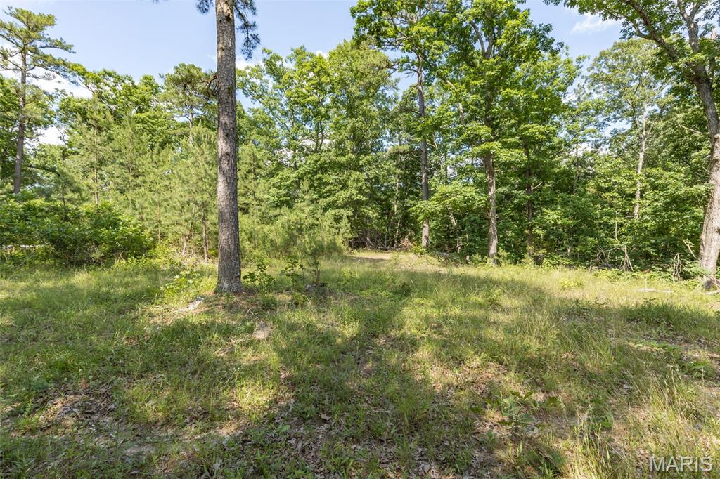 10130 Fish Hook Road Potosi, MO 63664 - Photo 12 of 29