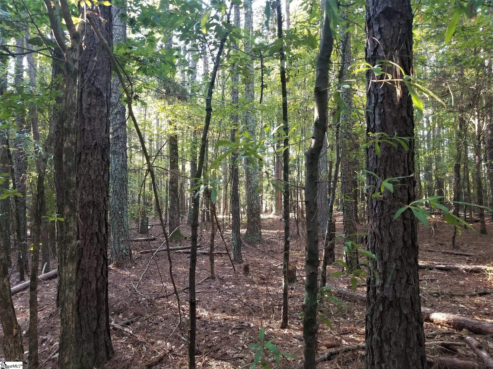 463 J C Cooper Road Fountain Inn, SC 29644 - Photo 2 of 6