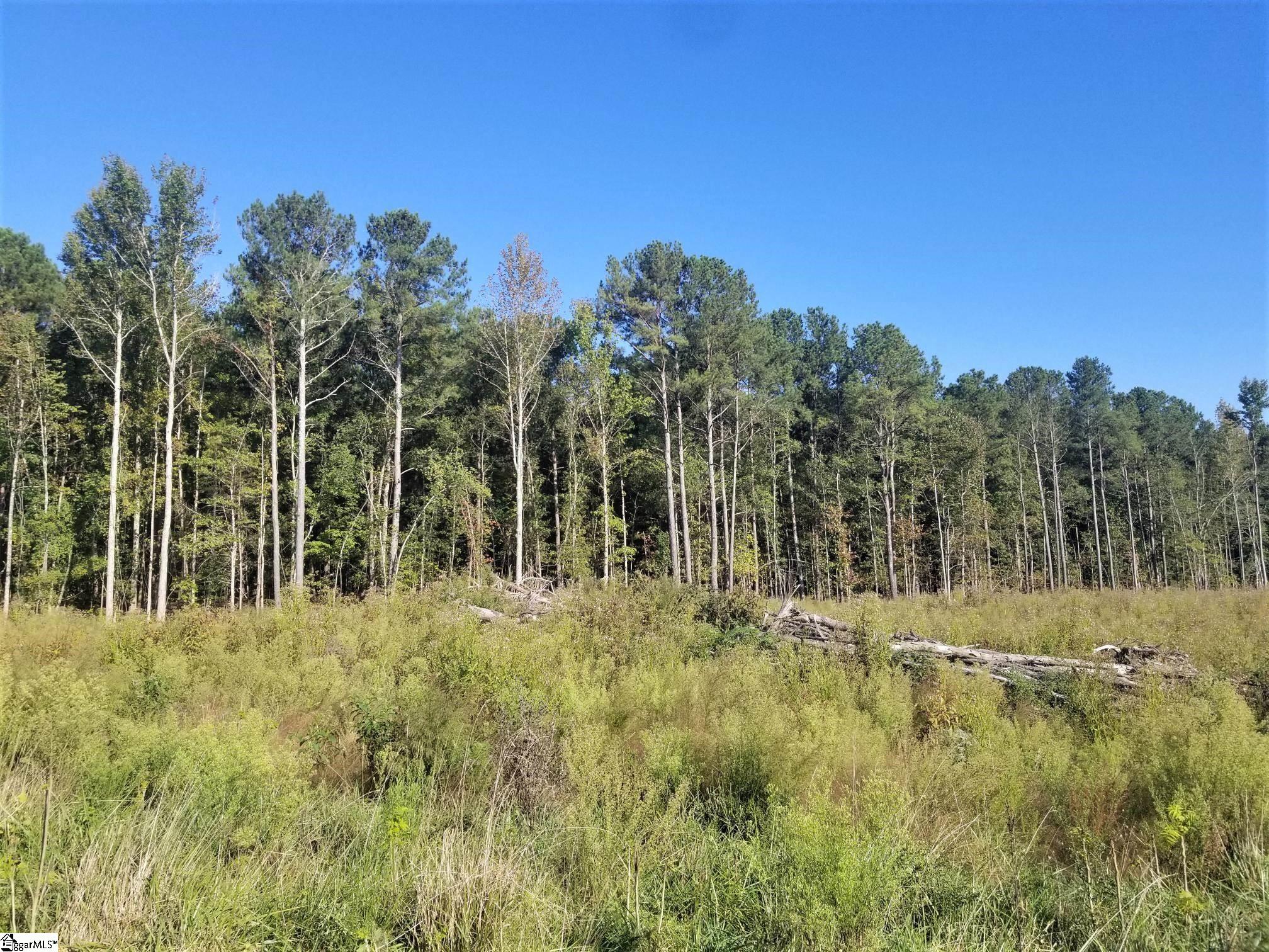 463 J C Cooper Road Fountain Inn, SC 29644 - Photo 3 of 6