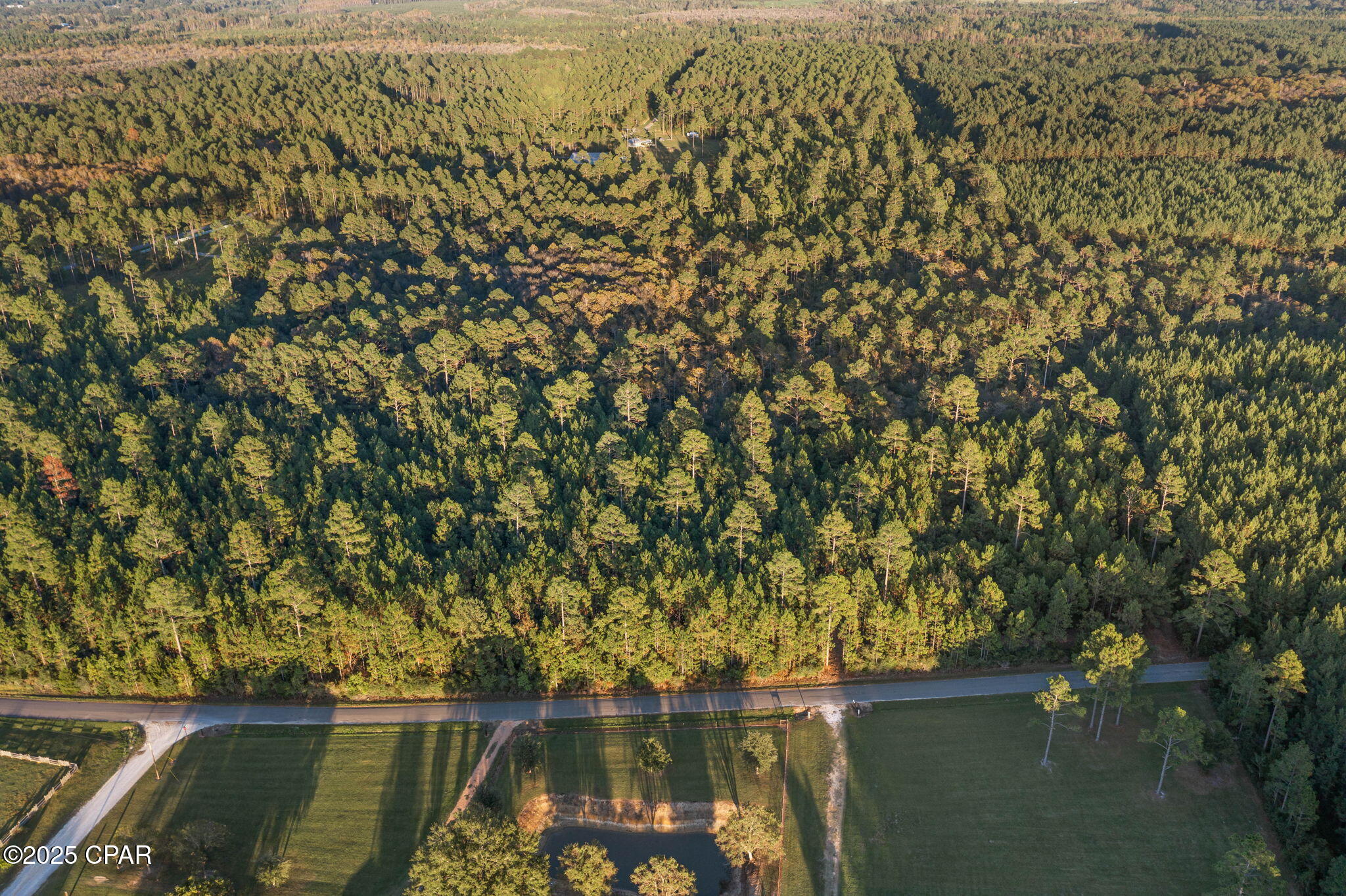 Xxx Parrish Still Road Vernon, FL 32462 - Photo 11 of 22