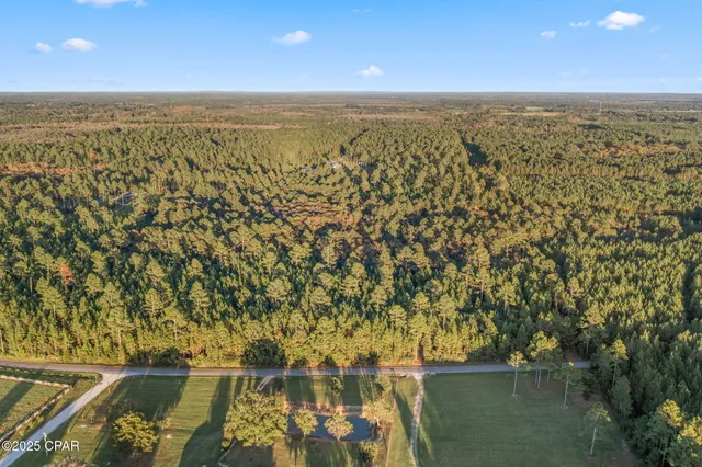 $39,999 | Xxx Parrish Still Road, Vernon, FL 32462