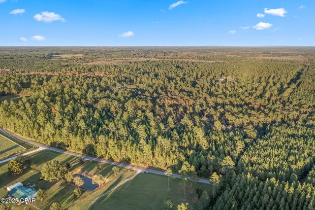 $39,999 | Xxx Parrish Still Road, Vernon, FL 32462