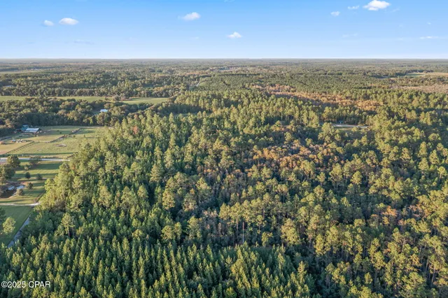 $39,999 | Xxx Parrish Still Road, Vernon, FL 32462