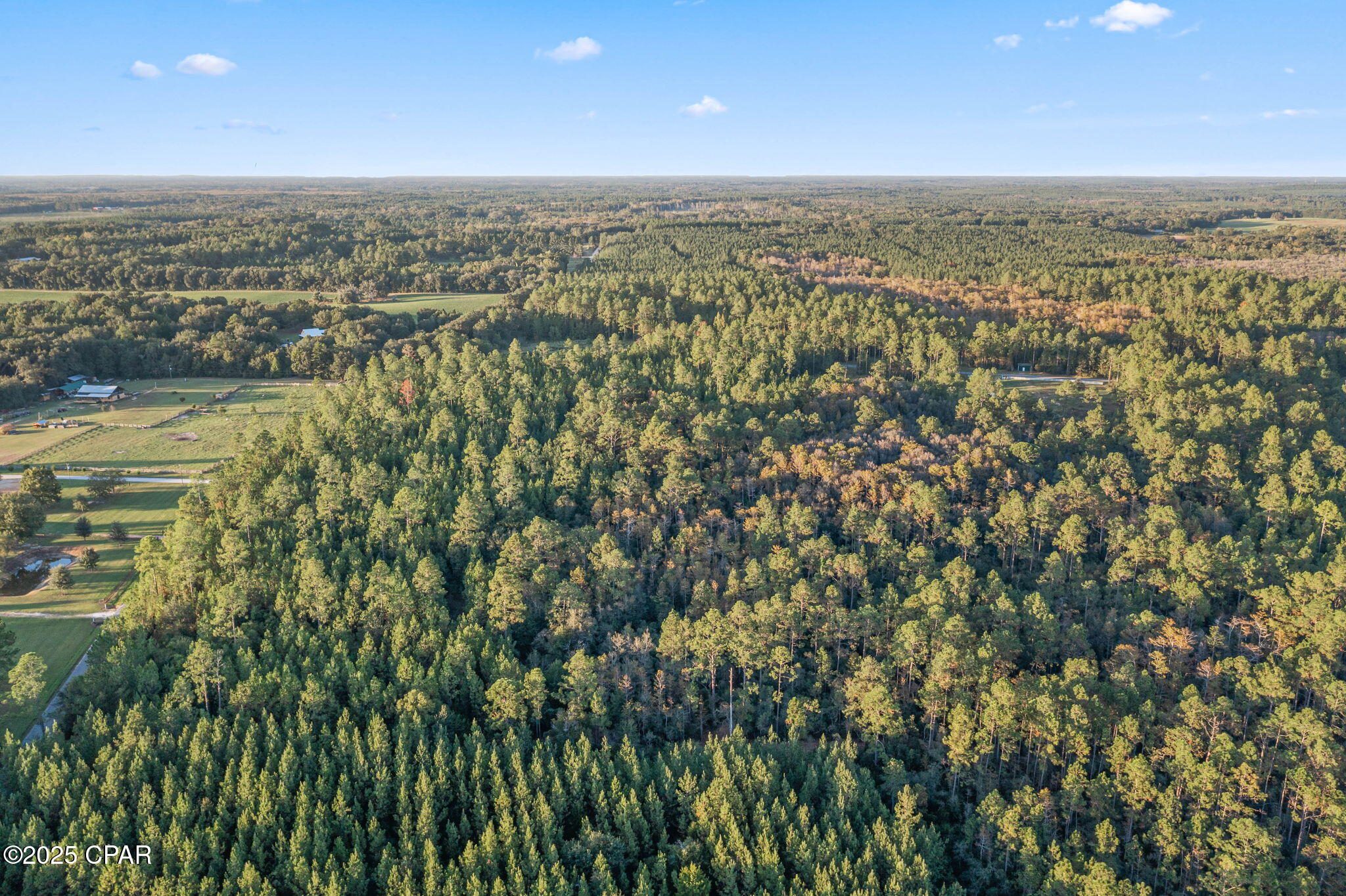 Xxx Parrish Still Road Vernon, FL 32462 - Photo 14 of 22