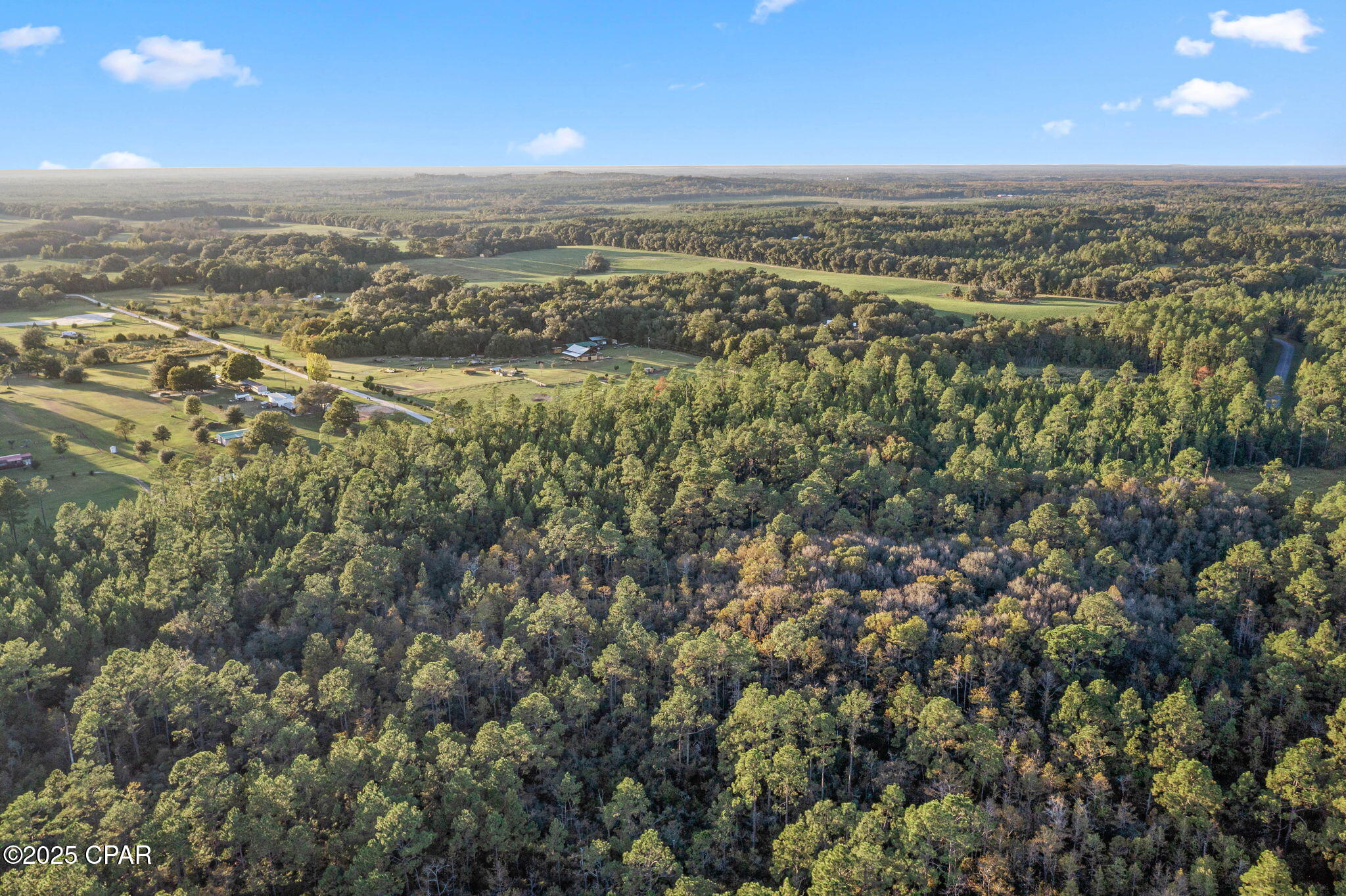 Xxx Parrish Still Road Vernon, FL 32462 - Photo 15 of 22