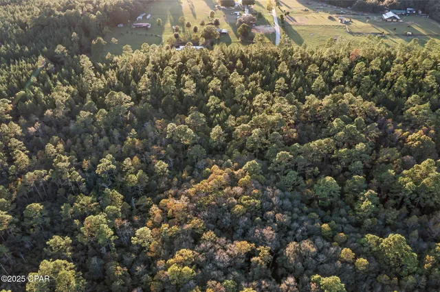 $39,999 | Xxx Parrish Still Road, Vernon, FL 32462