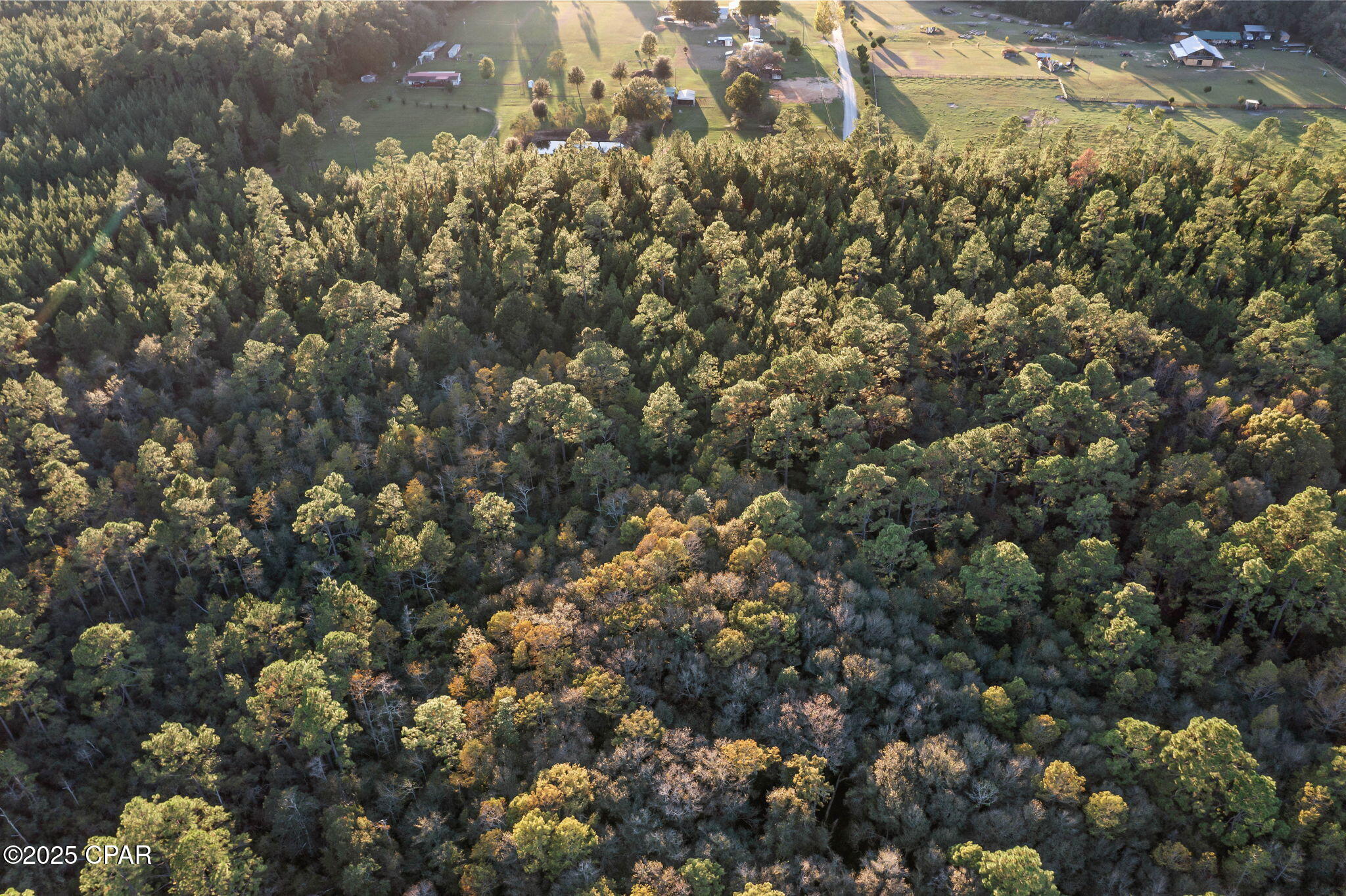 Xxx Parrish Still Road Vernon, FL 32462 - Photo 17 of 22