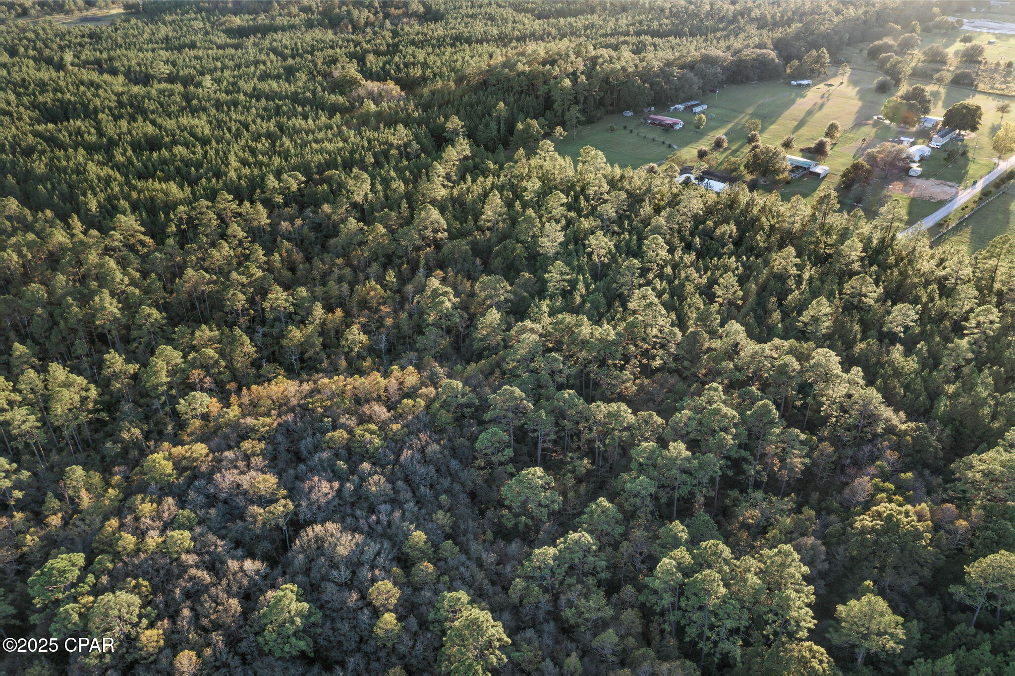 Xxx Parrish Still Road Vernon, FL 32462 - Photo 18 of 22