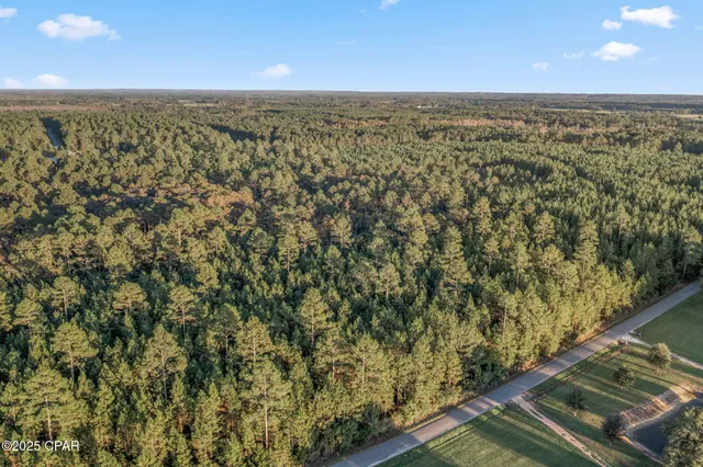 $39,999 | Xxx Parrish Still Road, Vernon, FL 32462