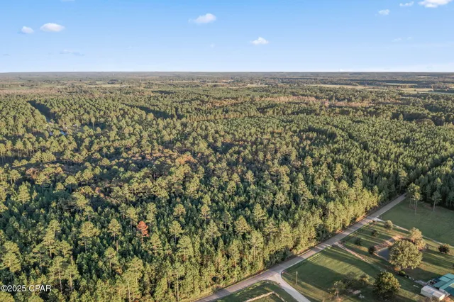 $39,999 | Xxx Parrish Still Road, Vernon, FL 32462