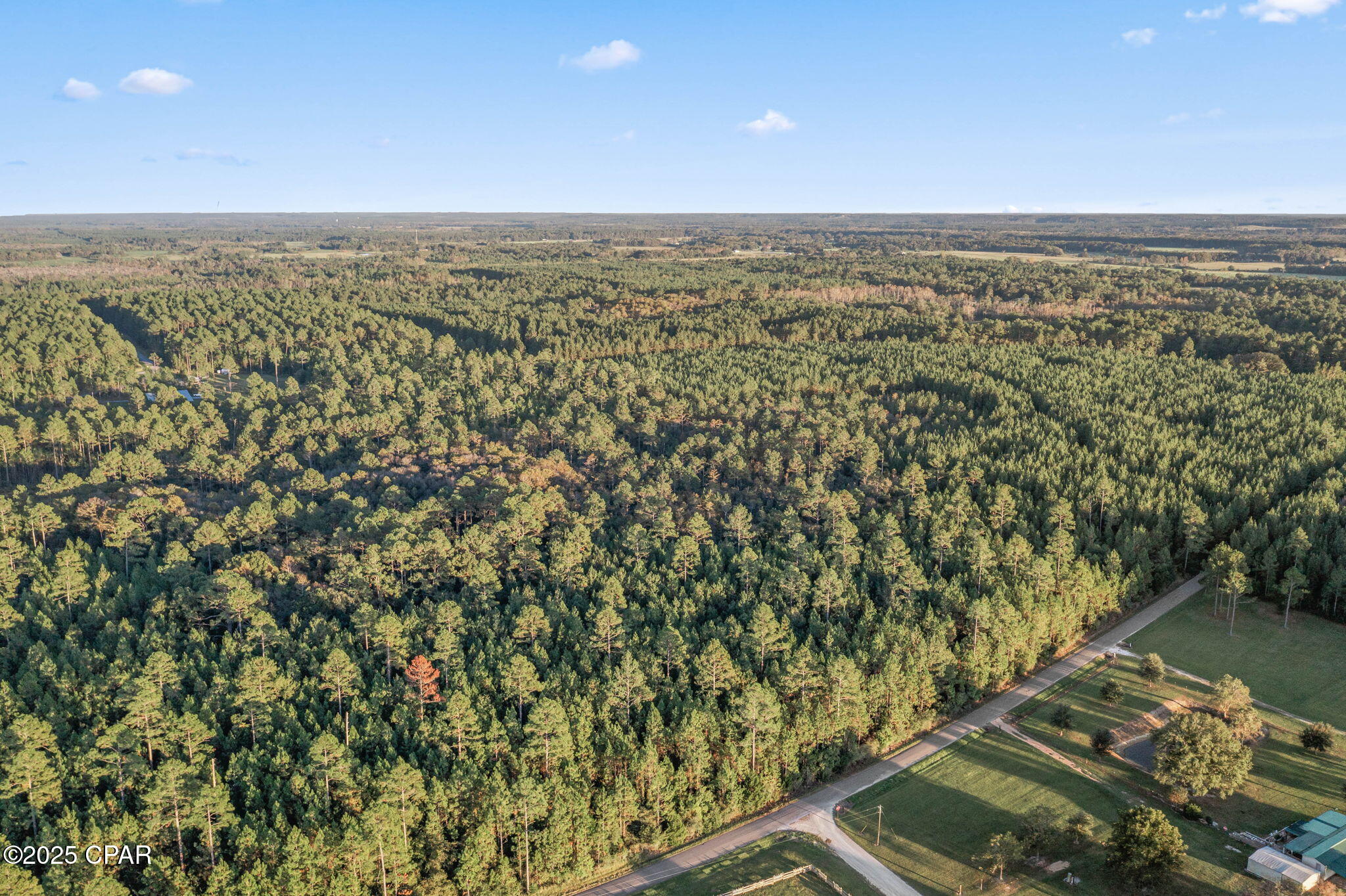 Xxx Parrish Still Road Vernon, FL 32462 - Photo 20 of 22