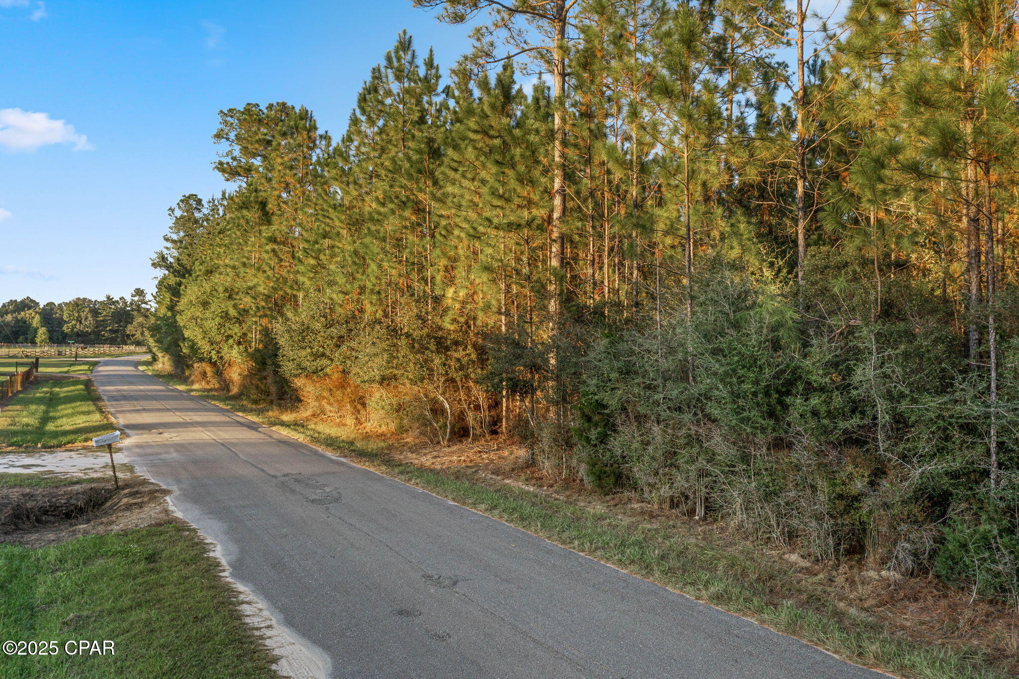 Xxx Parrish Still Road Vernon, FL 32462 - Photo 2 of 22