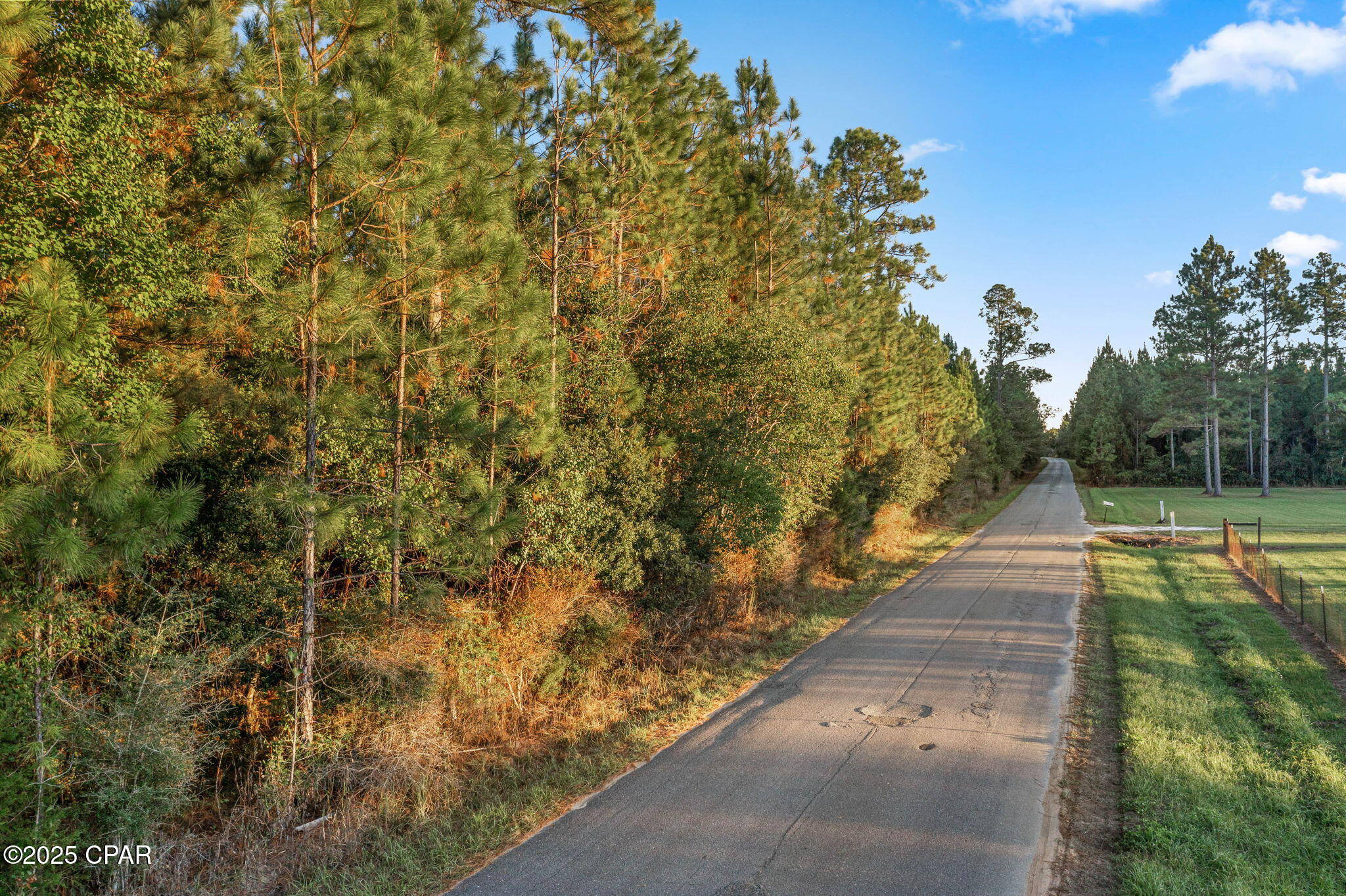 Xxx Parrish Still Road Vernon, FL 32462 - Photo 3 of 22