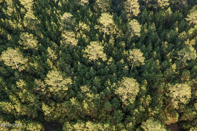 $39,999 | Xxx Parrish Still Road, Vernon, FL 32462