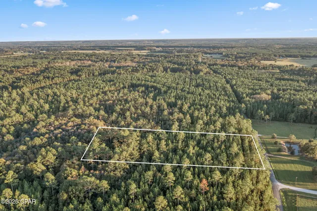 $39,999 | Xxx Parrish Still Road, Vernon, FL 32462