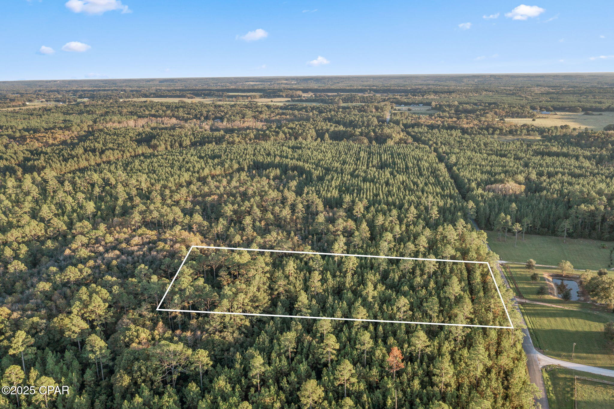 Xxx Parrish Still Road Vernon, FL 32462 - Photo 6 of 22