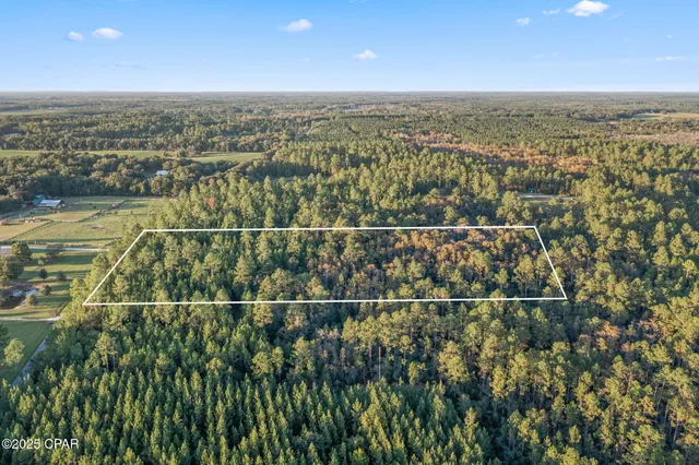 $39,999 | Xxx Parrish Still Road, Vernon, FL 32462