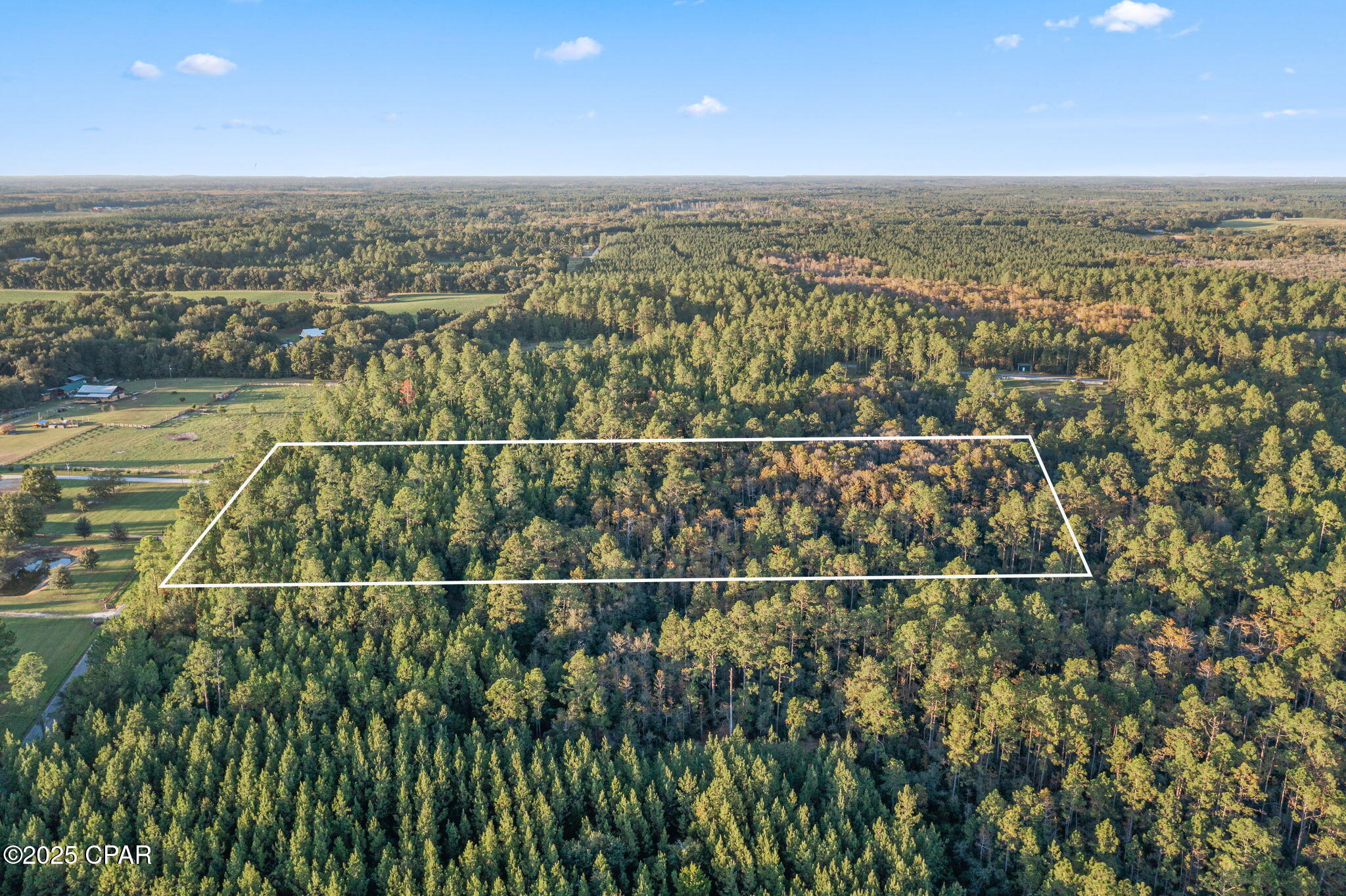 Xxx Parrish Still Road Vernon, FL 32462 - Photo 7 of 22