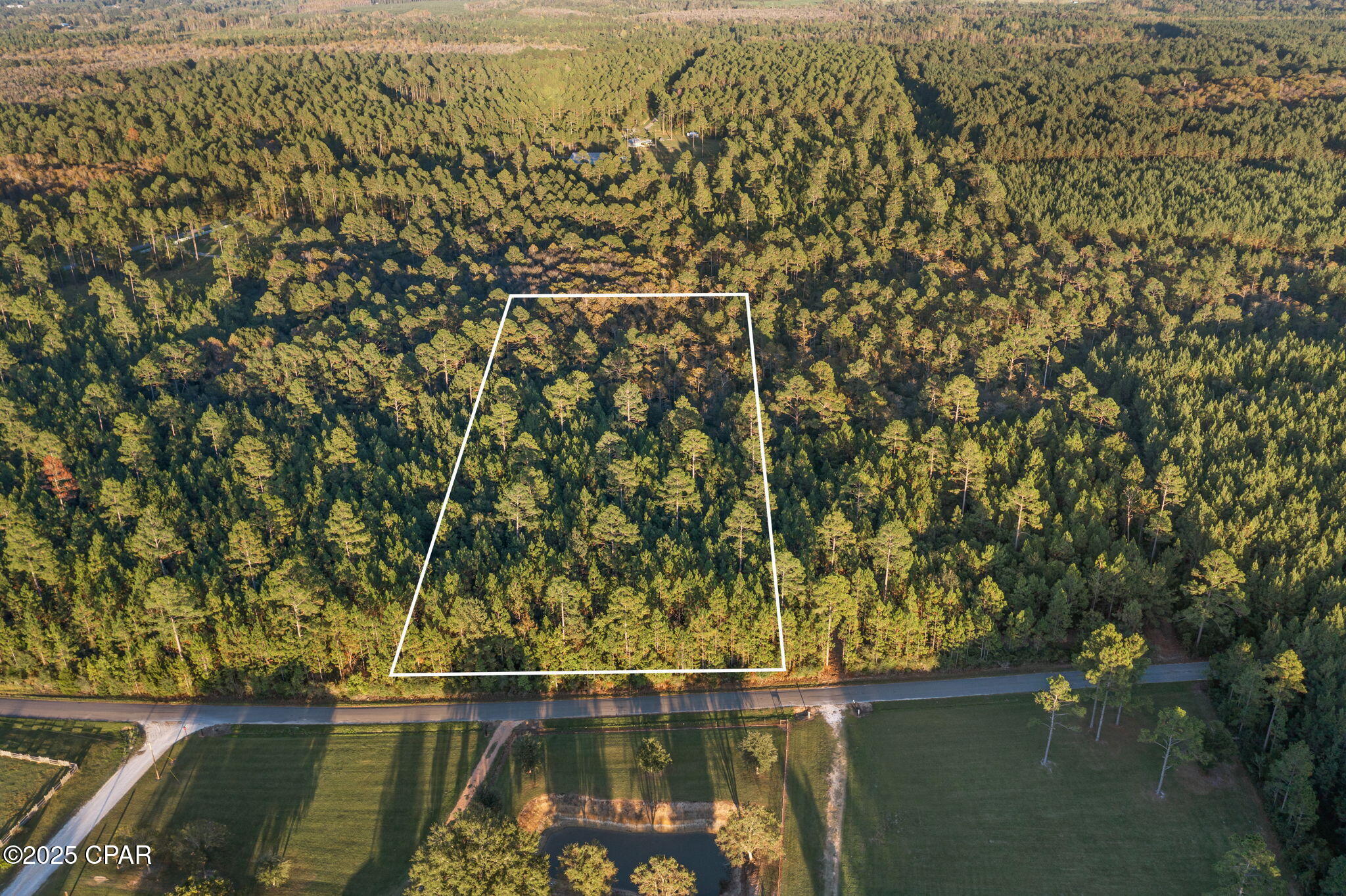 Xxx Parrish Still Road Vernon, FL 32462 - Photo 9 of 22