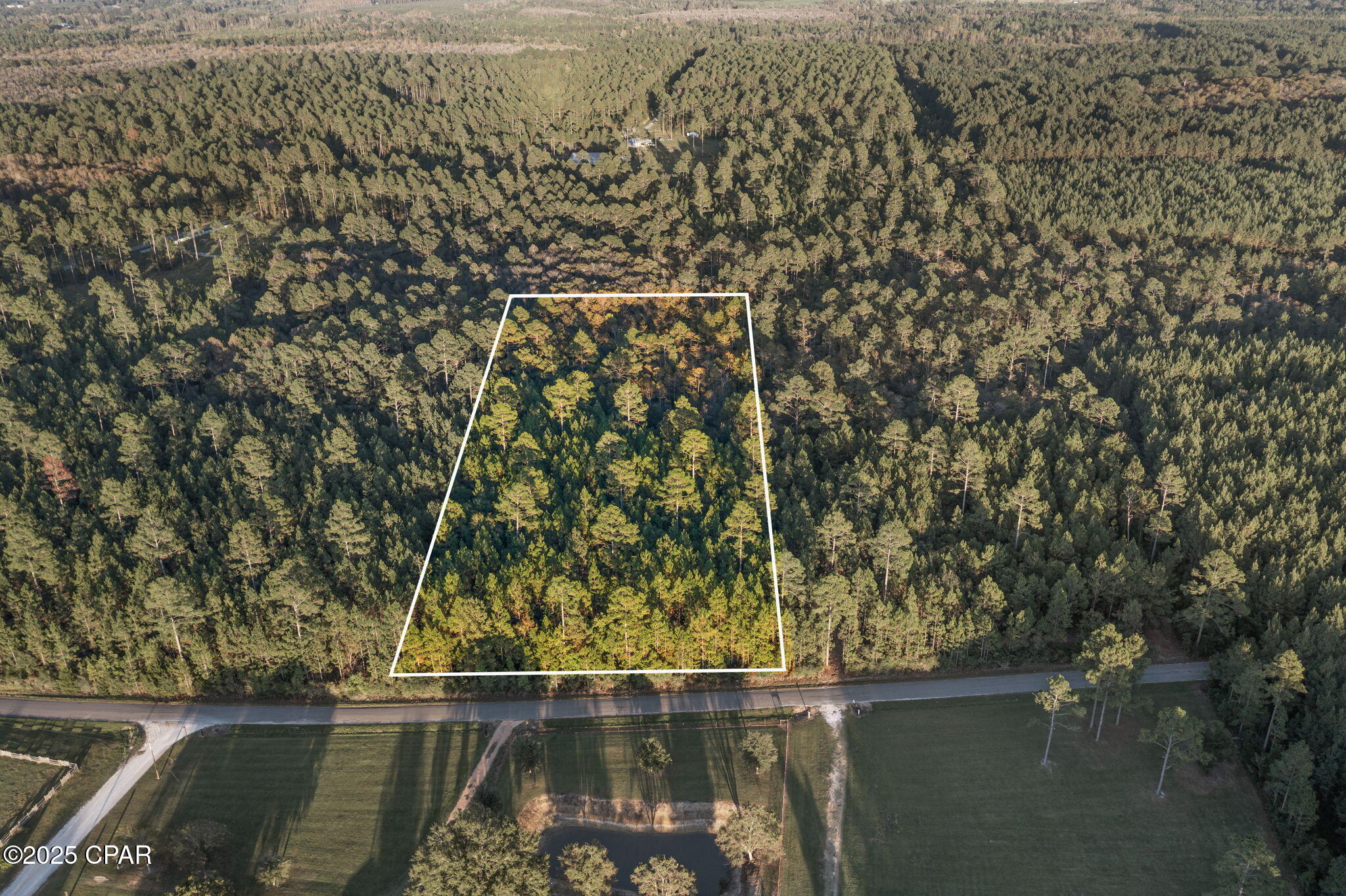 Xxx Parrish Still Road Vernon, FL 32462 - Photo 10 of 22