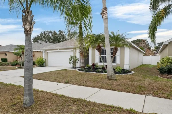 a view of a backyard with palm trees
