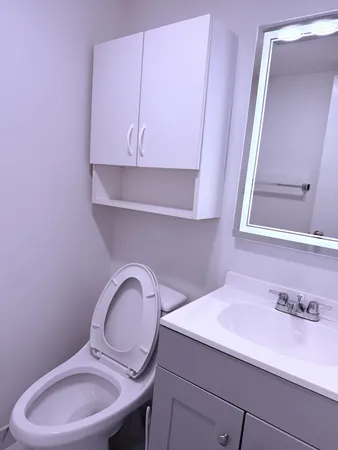 a bathroom with a sink a toilet a mirror and vanity
