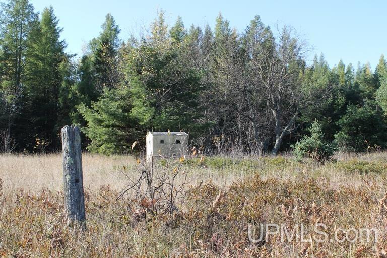 Tbd Missouri Rd - Co Rd 565, Unit LAT 46 31633 LON 87 5822 Gwinn, MI 49841 - Photo 10 of 30