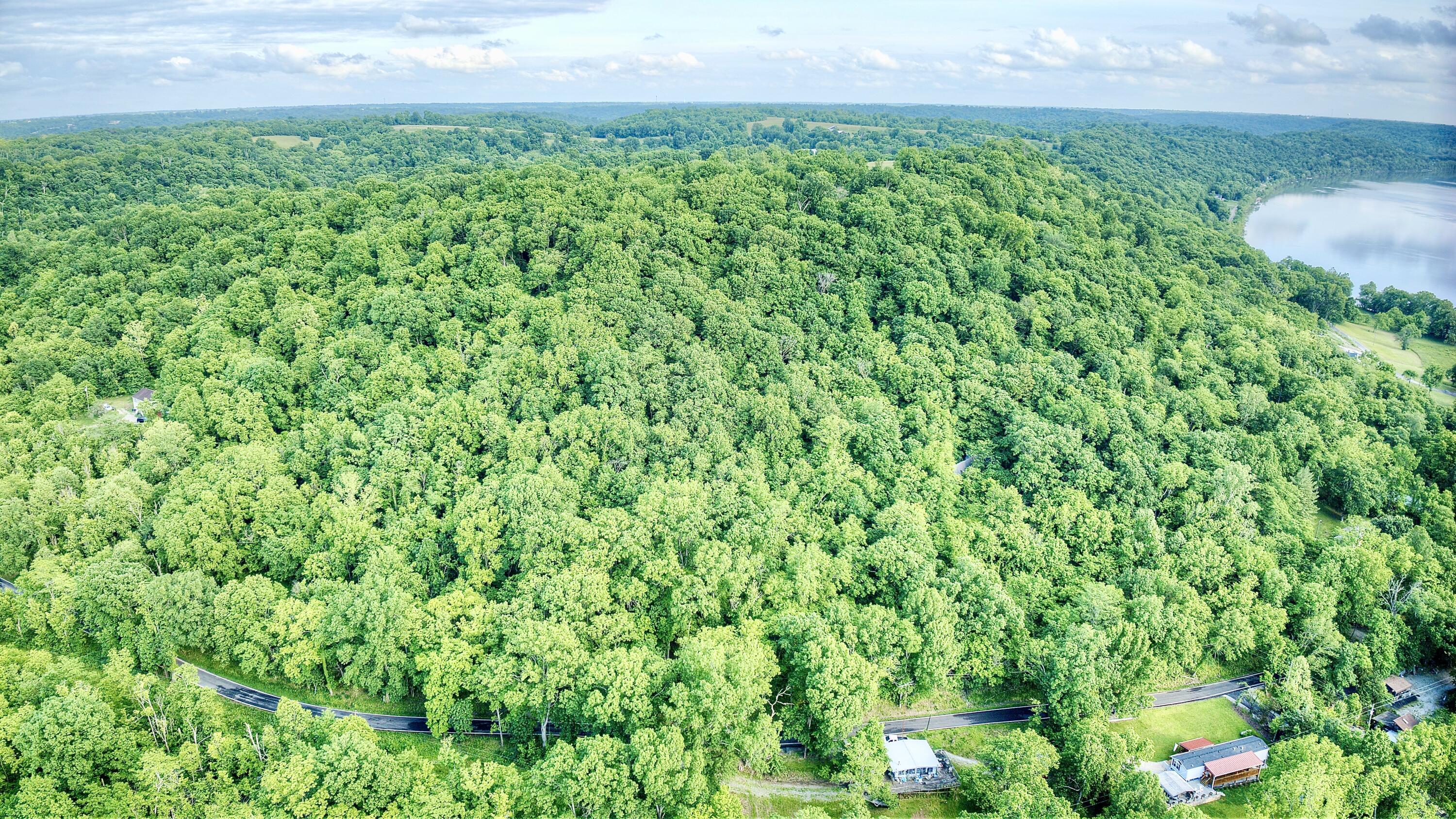 12376 Ryle Road Union, KY 41091 - Photo 11 of 21 Gallery Image 11