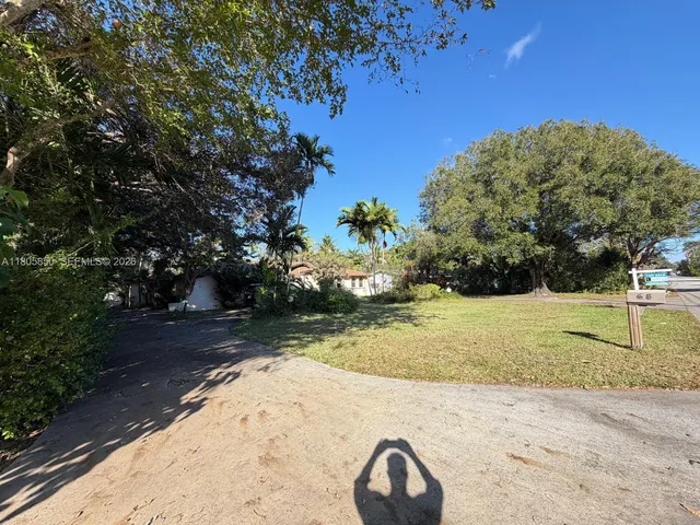 a view of a yard with potted plants