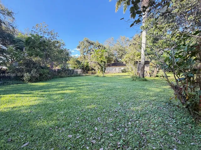 a view of a trees with a big yard