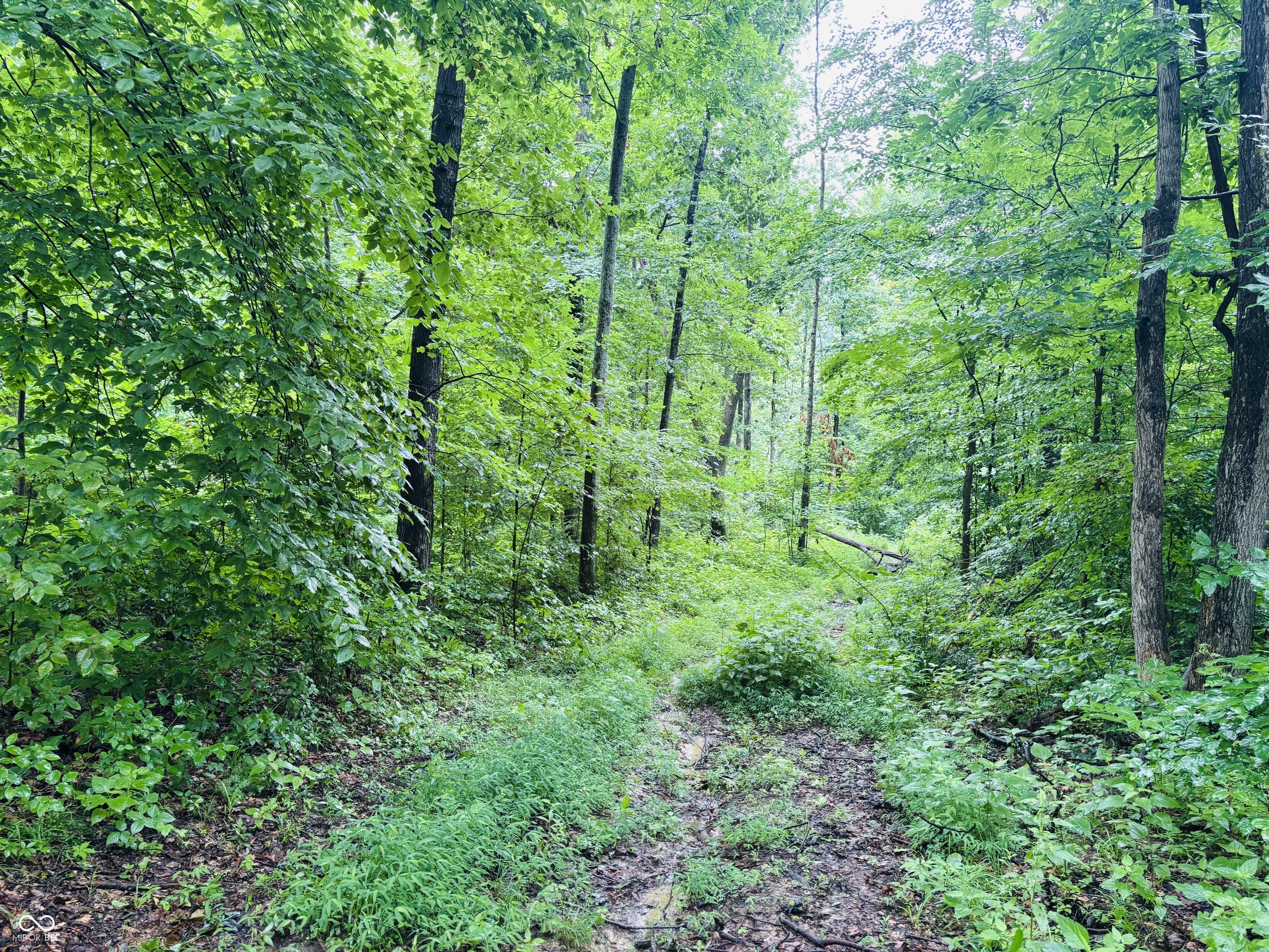 0 Laurel Road Laurel, IN 47024 - Photo 14 of 17