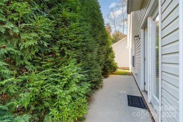 a view of a pathway both side of yard