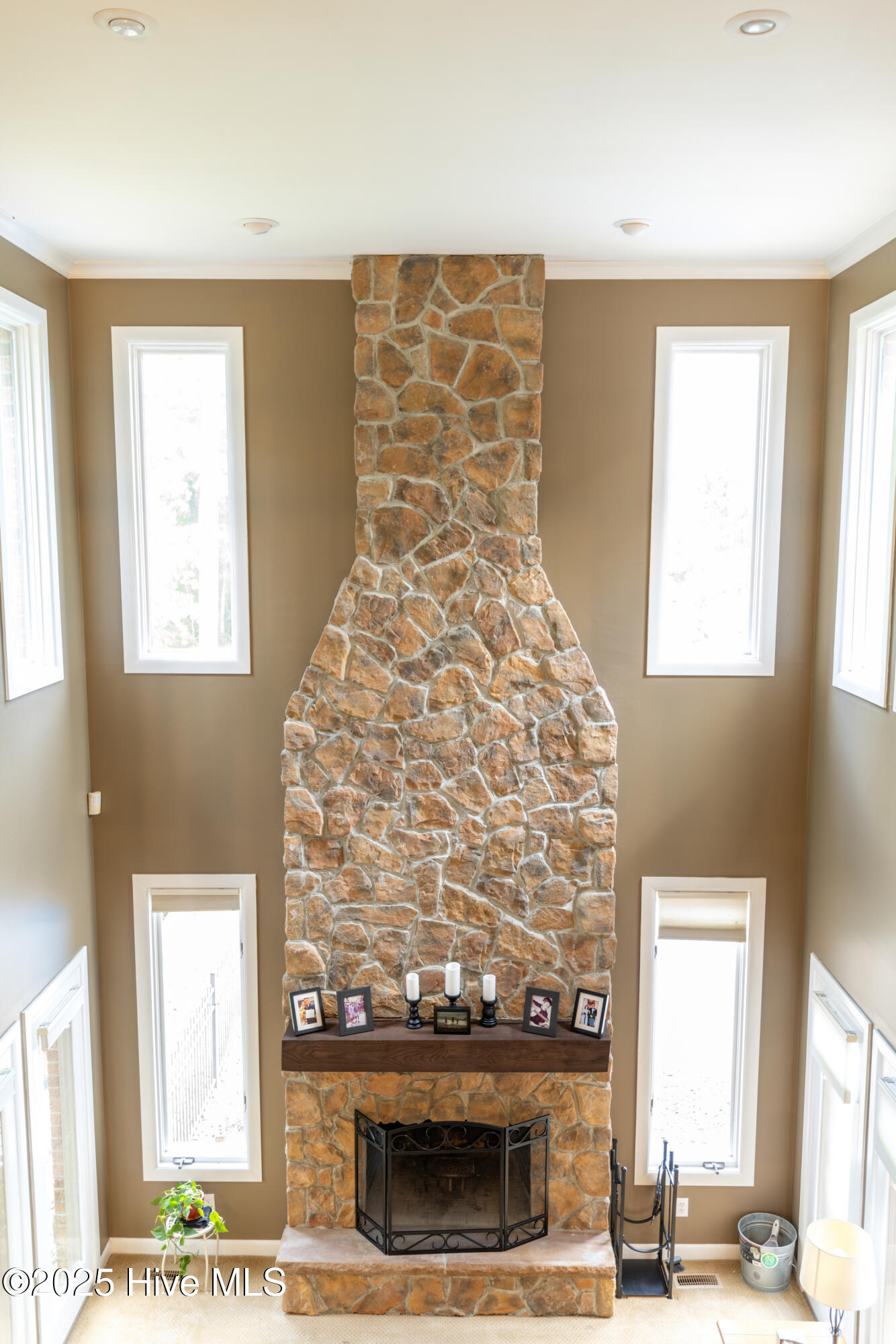 145 Meadowlark Road Goldsboro, NC 27534 - Photo 23 of 74 Cozy evenings spent enjoying the fireplace and the view of the beautiful yard.