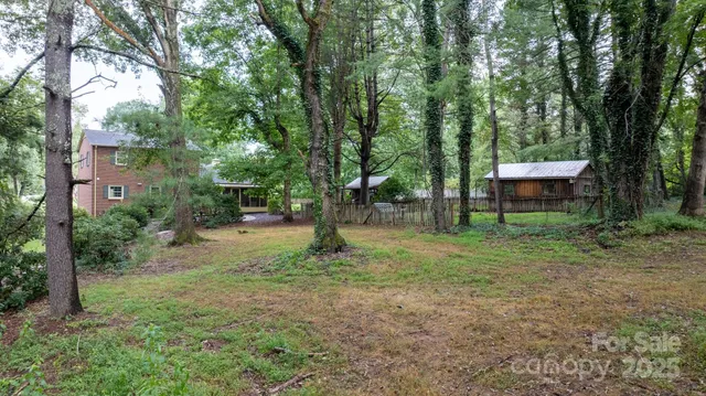 a view of a forest with trees