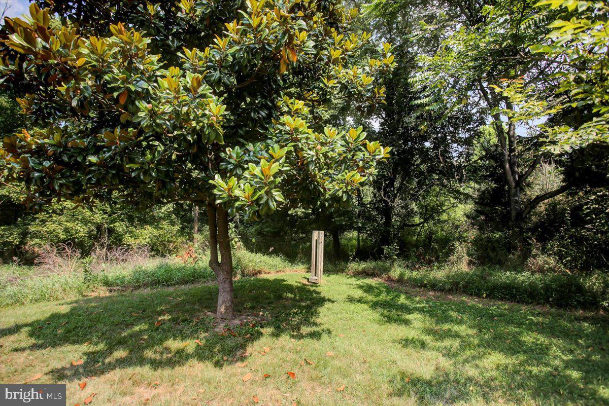 6911 Tommytown Road Sharpsburg, MD 21782 - Photo 52 of 52 Pole for Martin birdfeeder