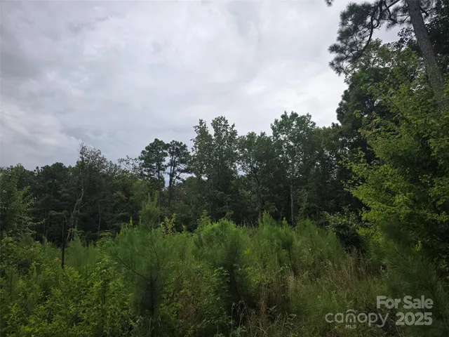 $175,000 | 0 North Nc 109 Highway, Troy, NC 27371