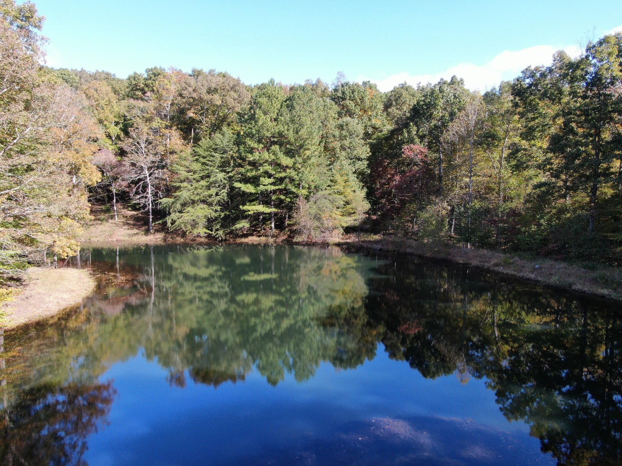 5629 Pinewood Road Franklin, TN 37064 - Photo 2 of 49 a view of lake