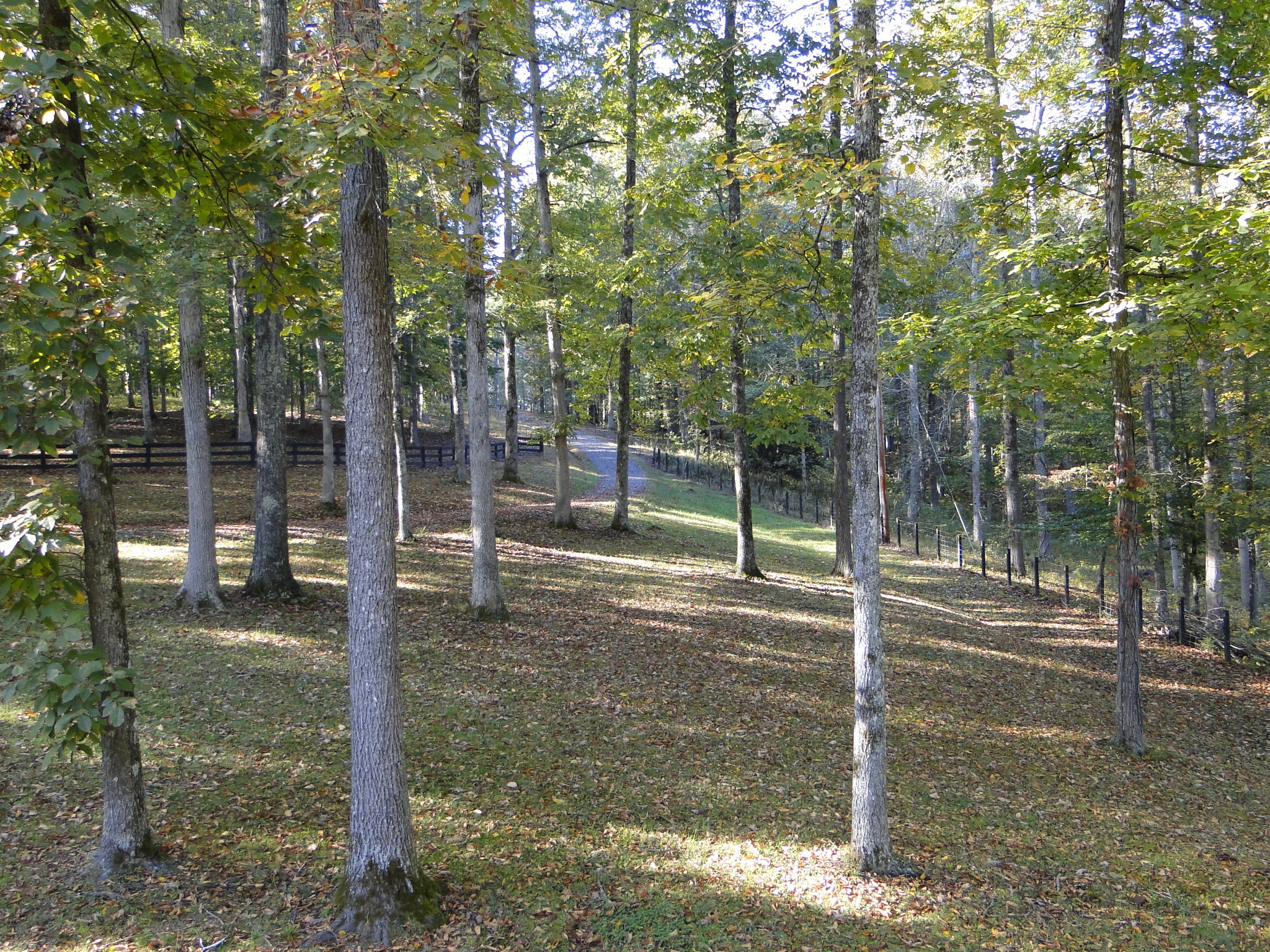 5629 Pinewood Road Franklin, TN 37064 - Photo 26 of 49 a view of a park