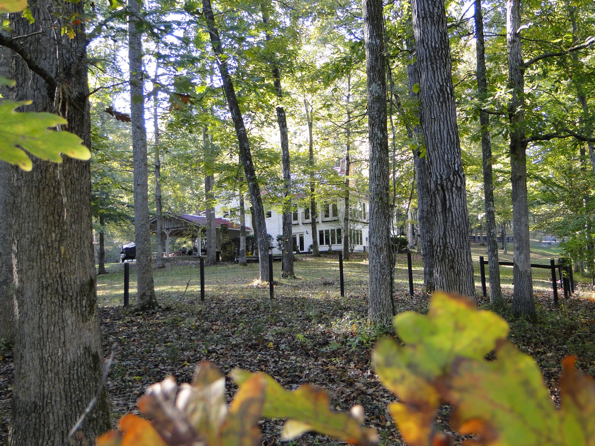 5629 Pinewood Road Franklin, TN 37064 - Photo 28 of 49 a backyard of a house with lots of green space and fountain