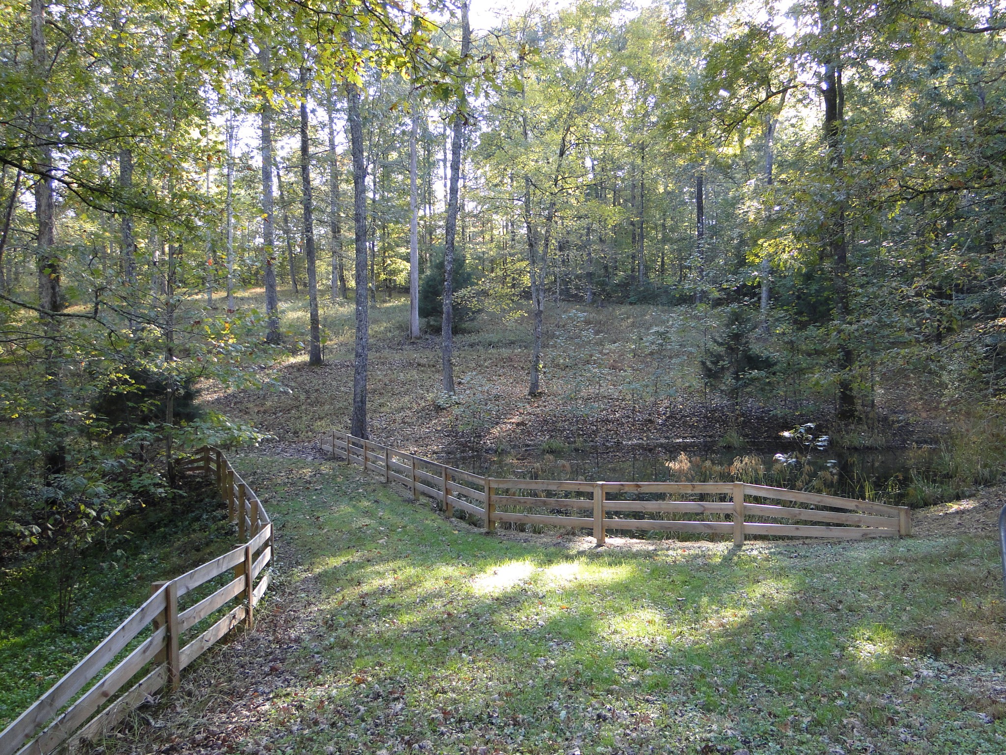 5629 Pinewood Road Franklin, TN 37064 - Photo 30 of 49 a view of outdoor space and yard