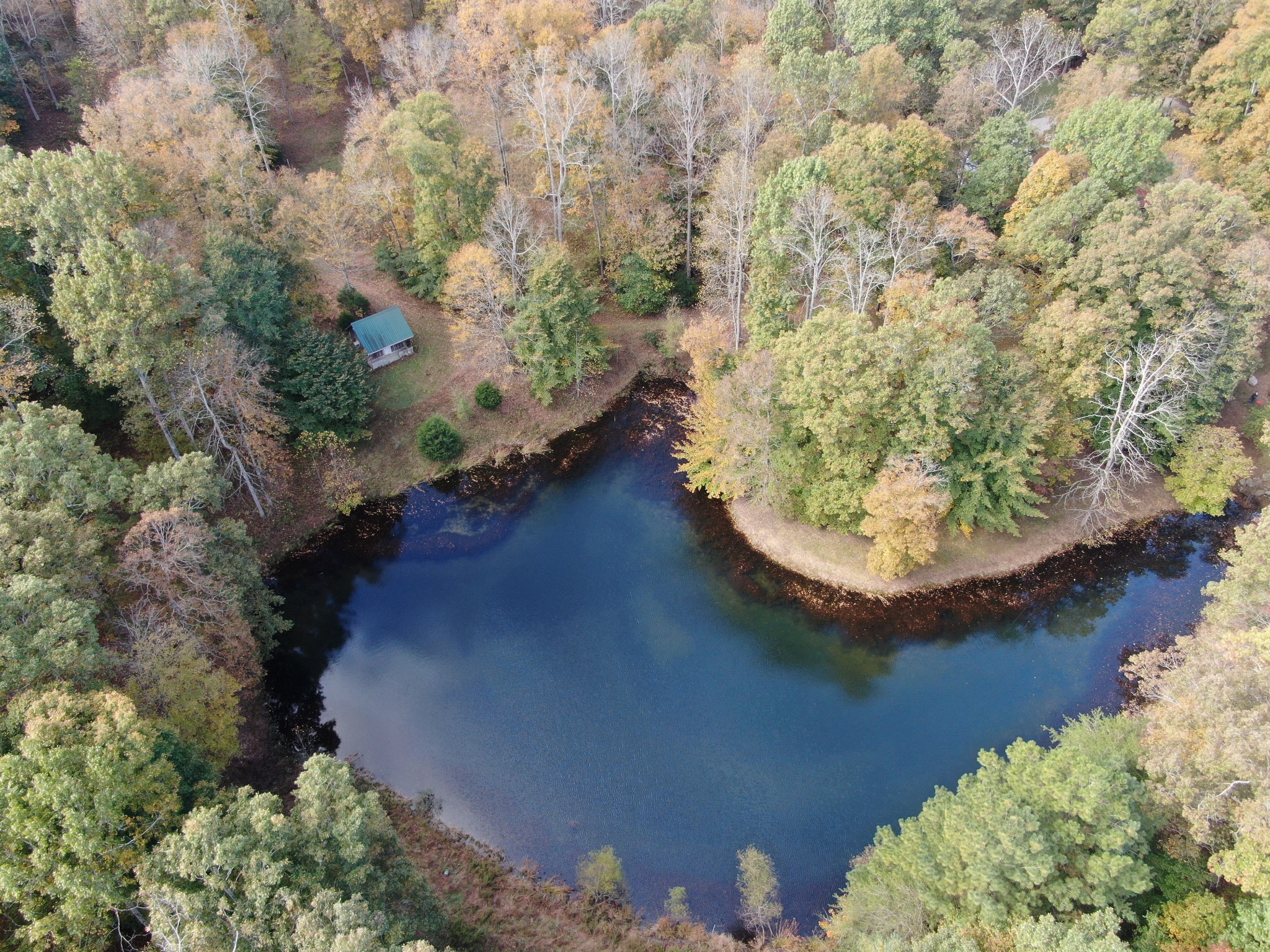 5629 Pinewood Road Franklin, TN 37064 - Photo 41 of 49 a view of a lake with a yard