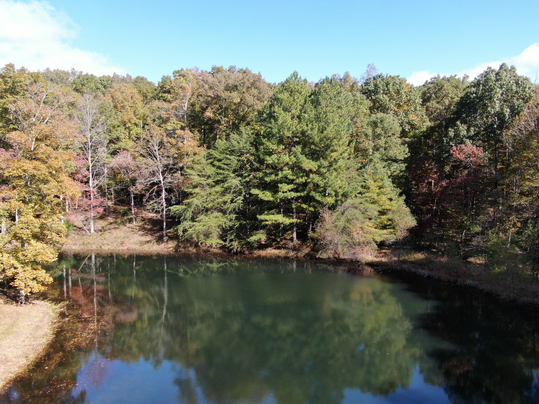 5629 Pinewood Road Franklin, TN 37064 - Photo 43 of 49 a view of lake