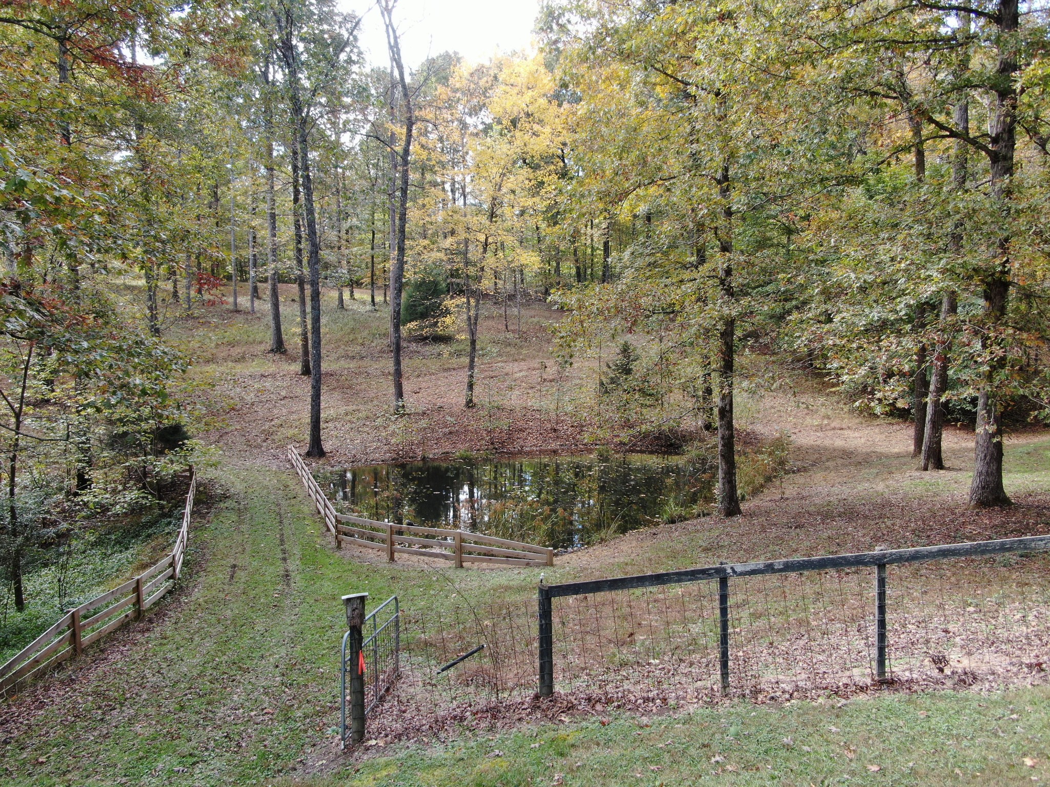 5629 Pinewood Road Franklin, TN 37064 - Photo 45 of 49 a view of outdoor space