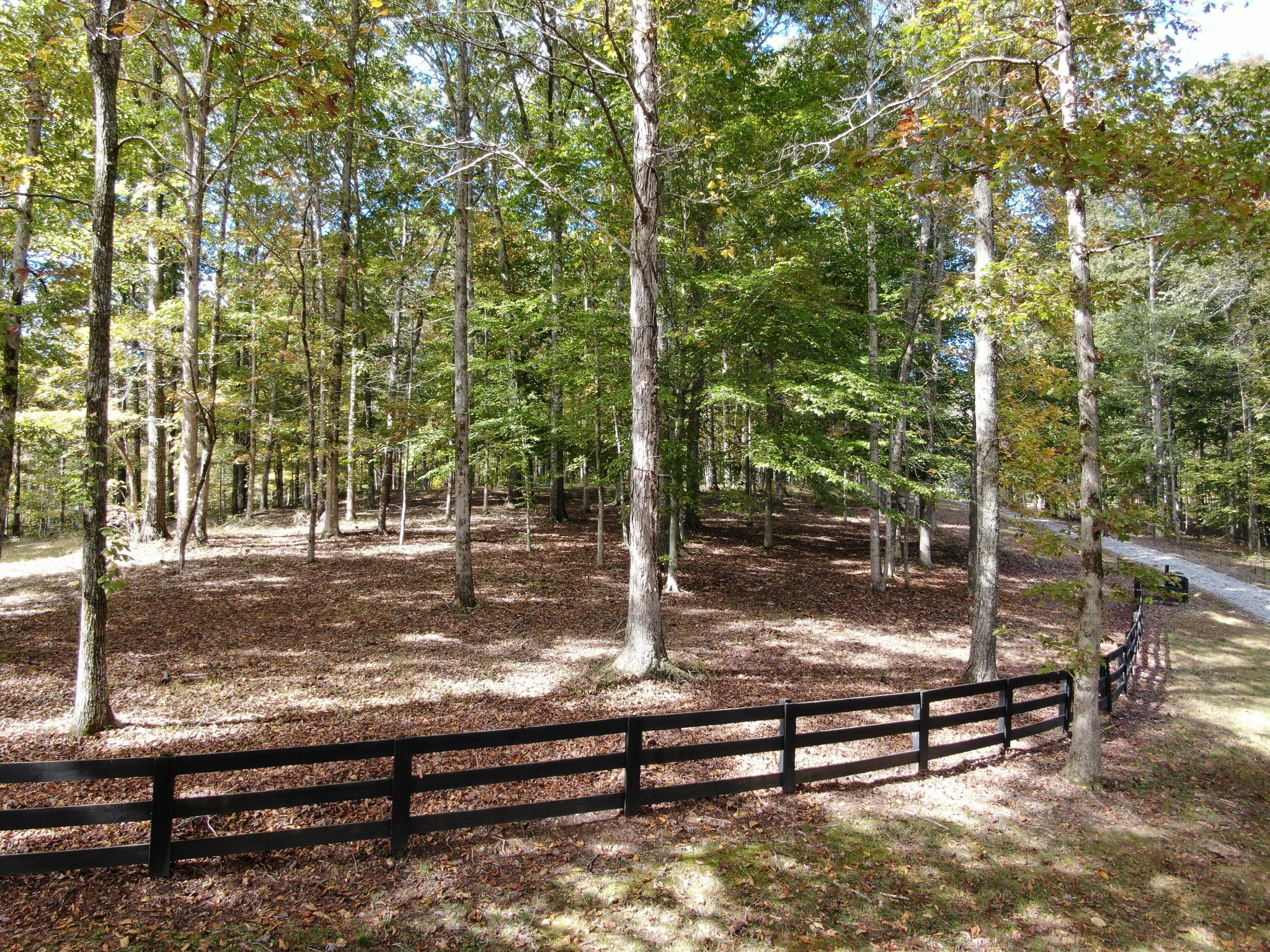 5629 Pinewood Road Franklin, TN 37064 - Photo 47 of 49 a view of a bench in a yard