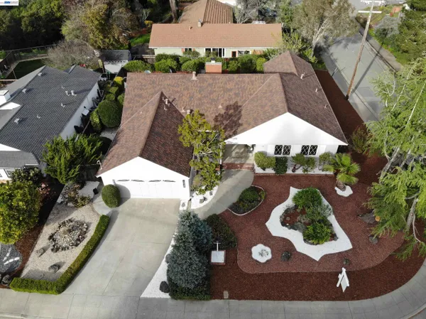 a front view of a house with a tree